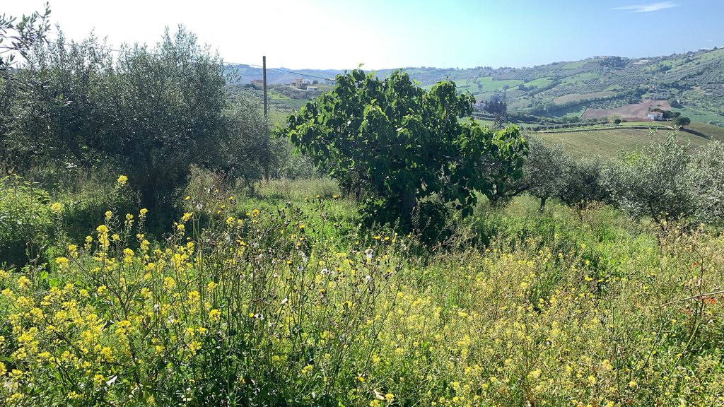 Property photo 1 of 29