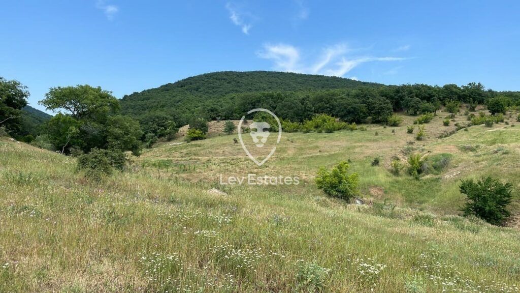 Property photo 1 of 7