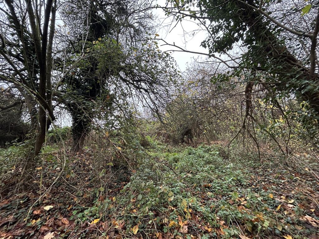 Property photo 3 of 7 Img_7434.Jpg