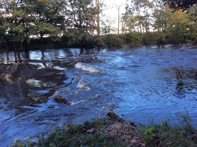 Property photo 3 of 9 Picture No. 02