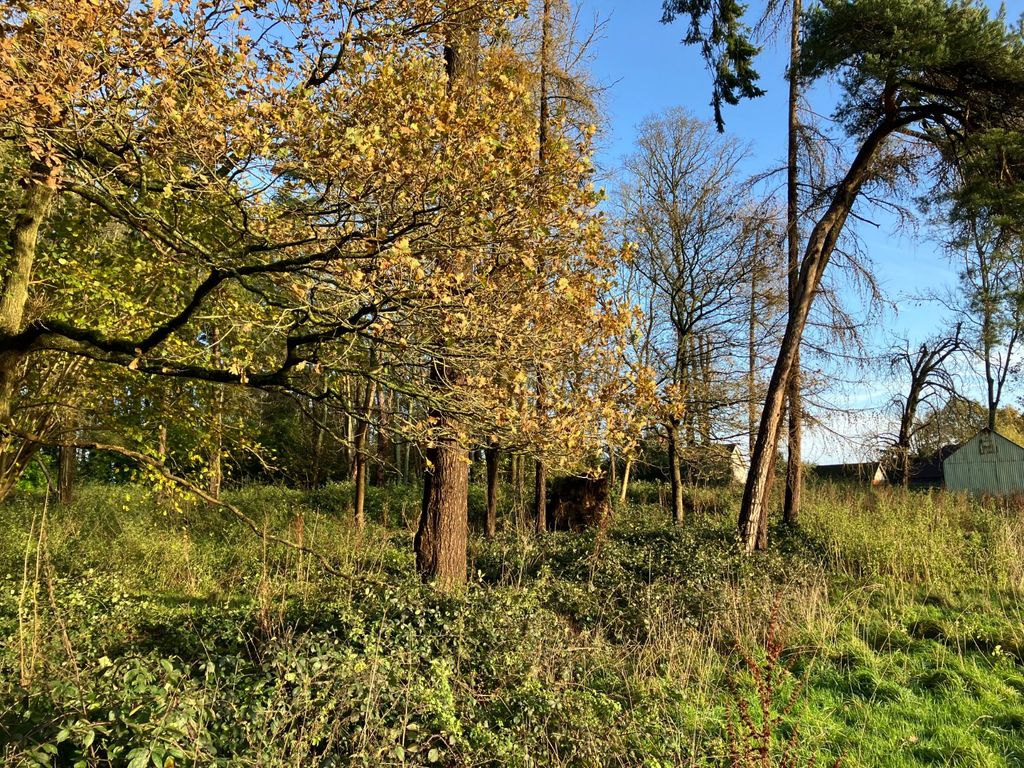 Property photo 3 of 5 Picture No. 03