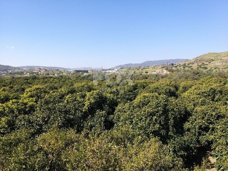 Property photo 1 of 25 51,088 Sq.m. Farm For Sale In Moni Limassol | Prime Agricult