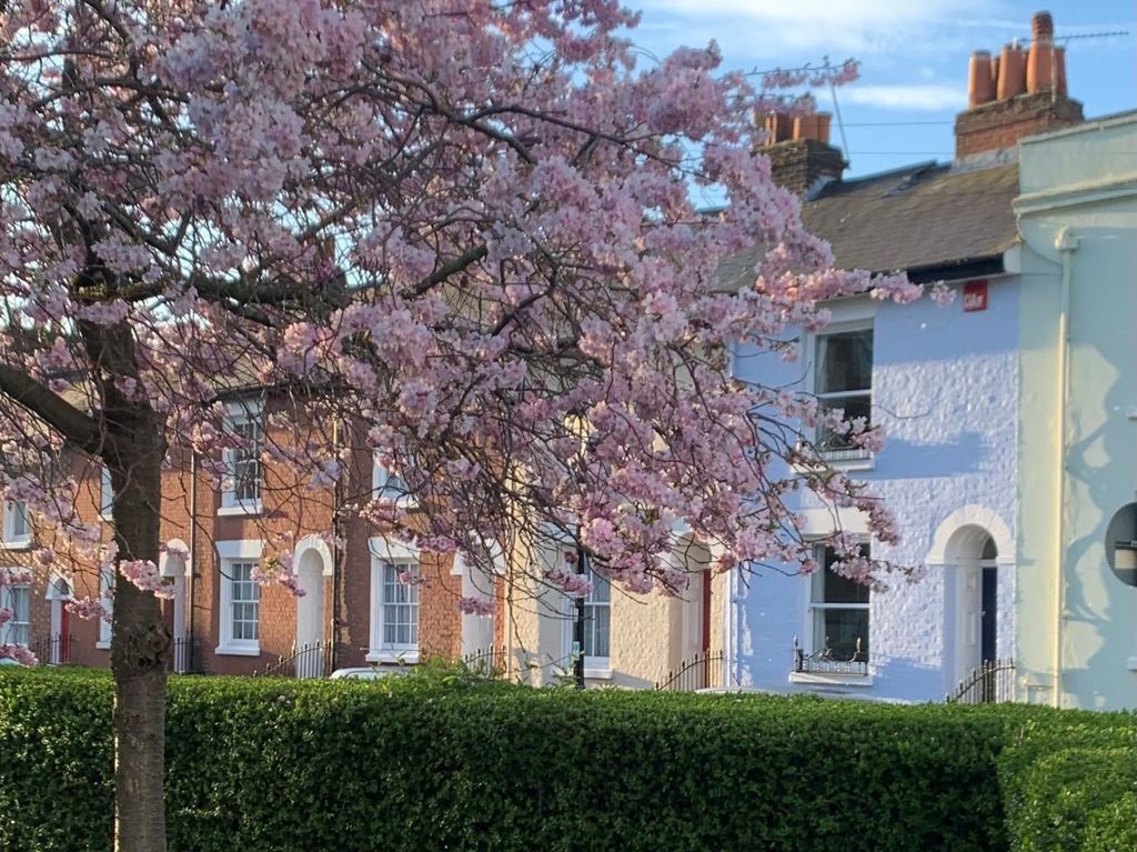 Property photo 1 of 11 Picture No. 31