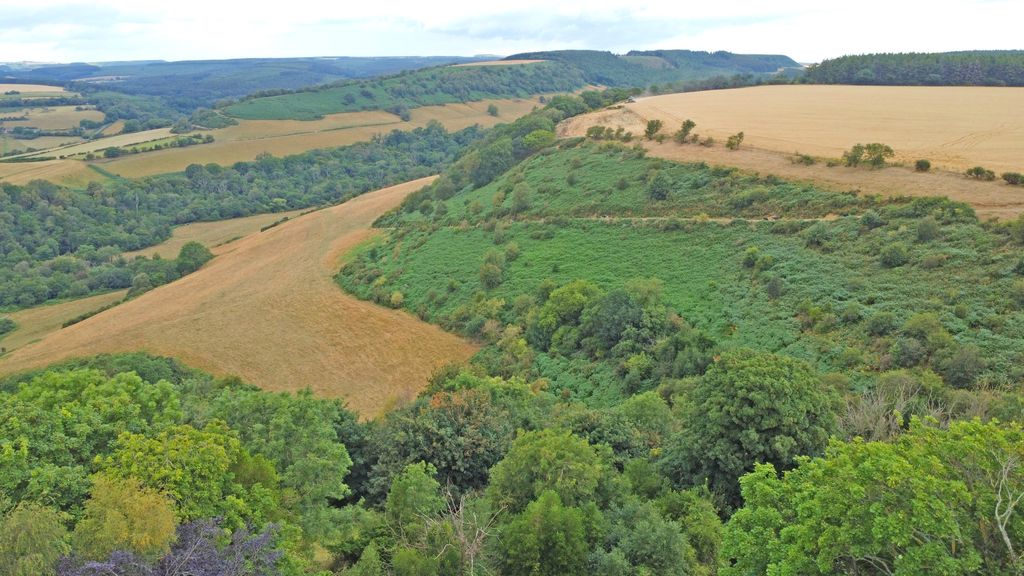 Property photo 2 of 24 Dji_Fly_20260731_114708_464_1785494885994_Photo_Op