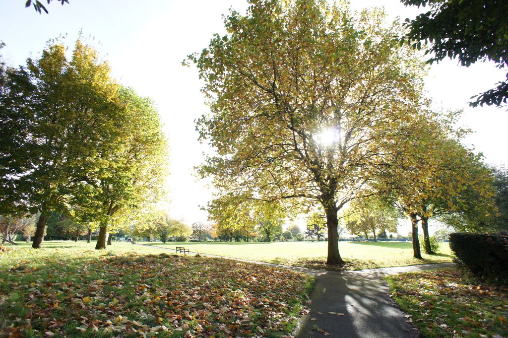 Property photo 2 of 21 47 Tree