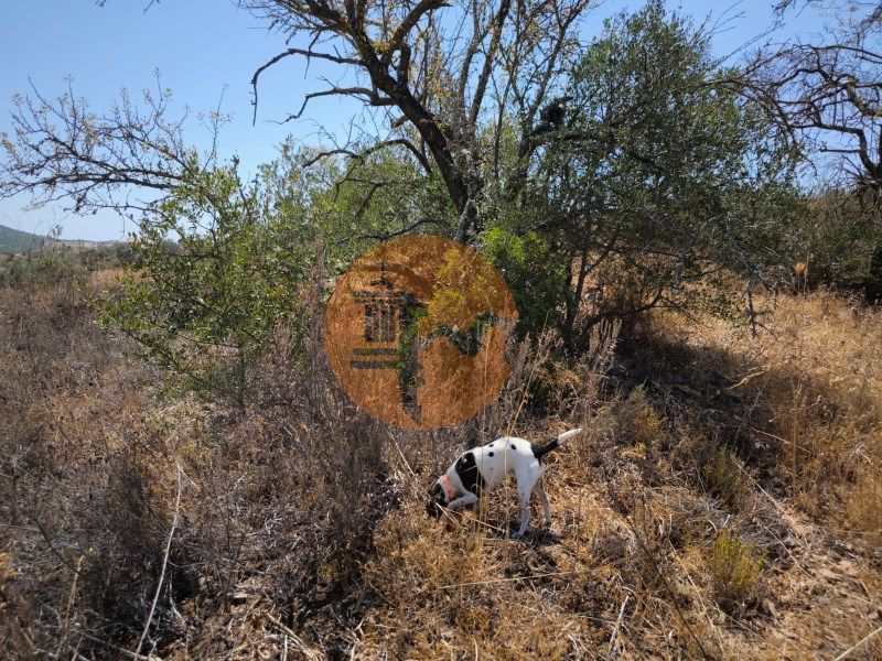 Property photo 3 of 53