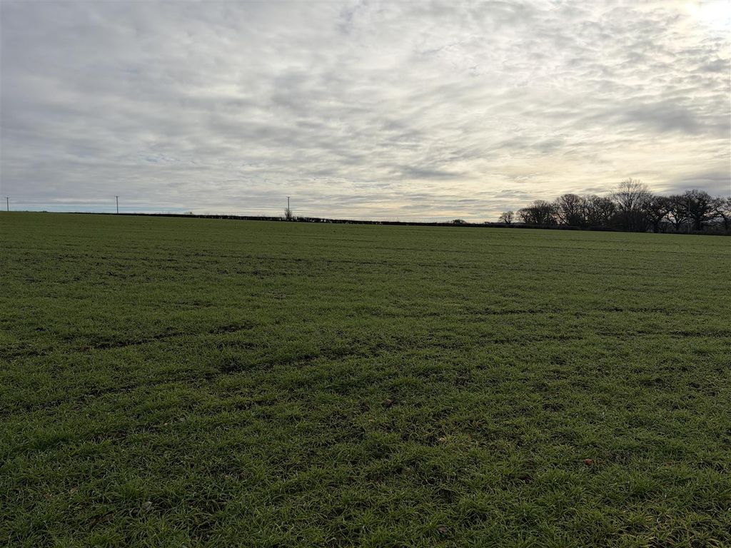 Property photo 3 of 8 Img_0046 3.Jpg