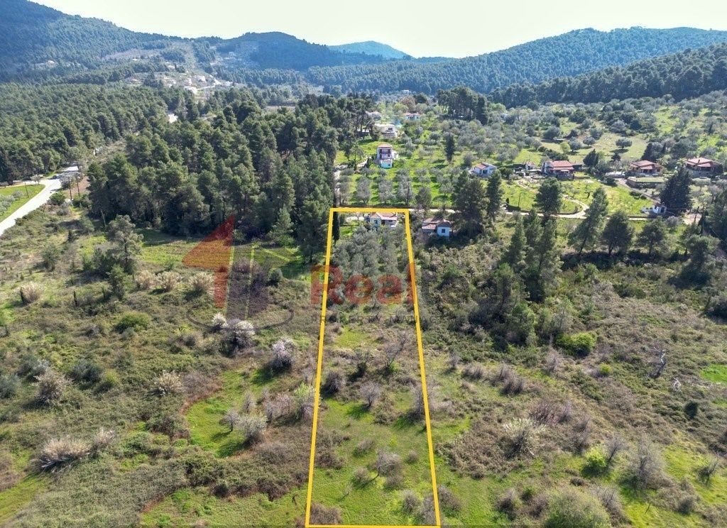 Property photo 3 of 25