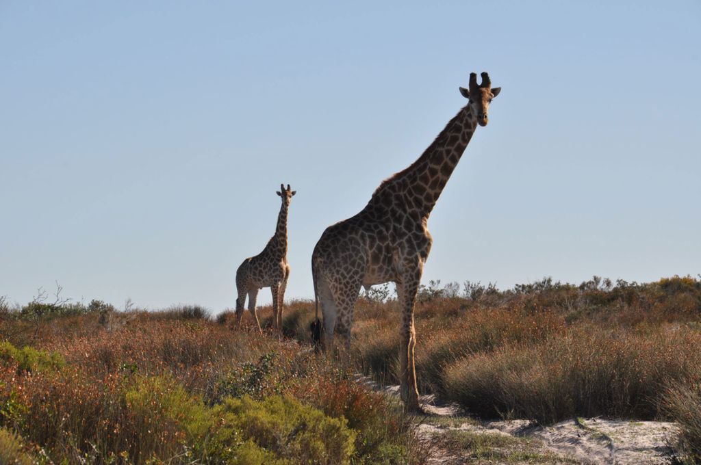 Property photo 3 of 67 La1679498