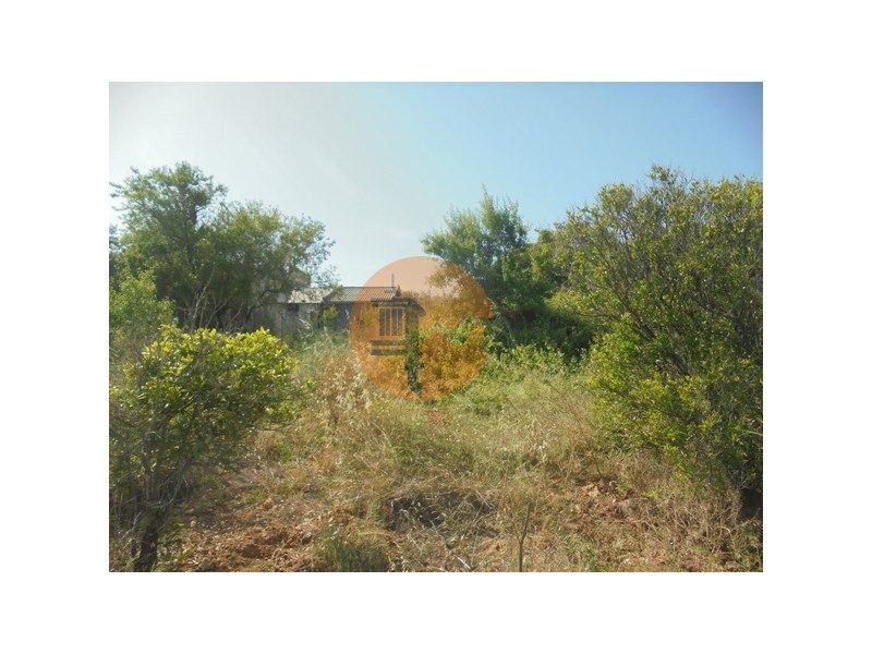 Property photo 3 of 32