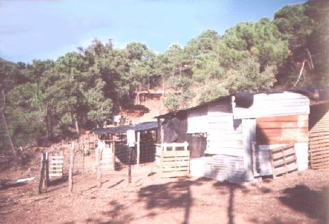 Property photo 3 of 4 Outhouses