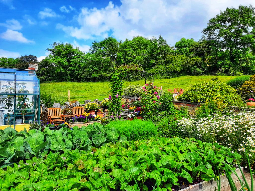 Property photo 2 of 23 Garden In Summer