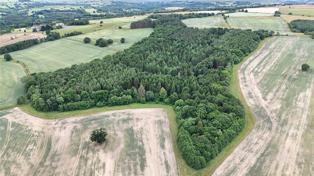 Property photo 3 of 19 Picture No. 03