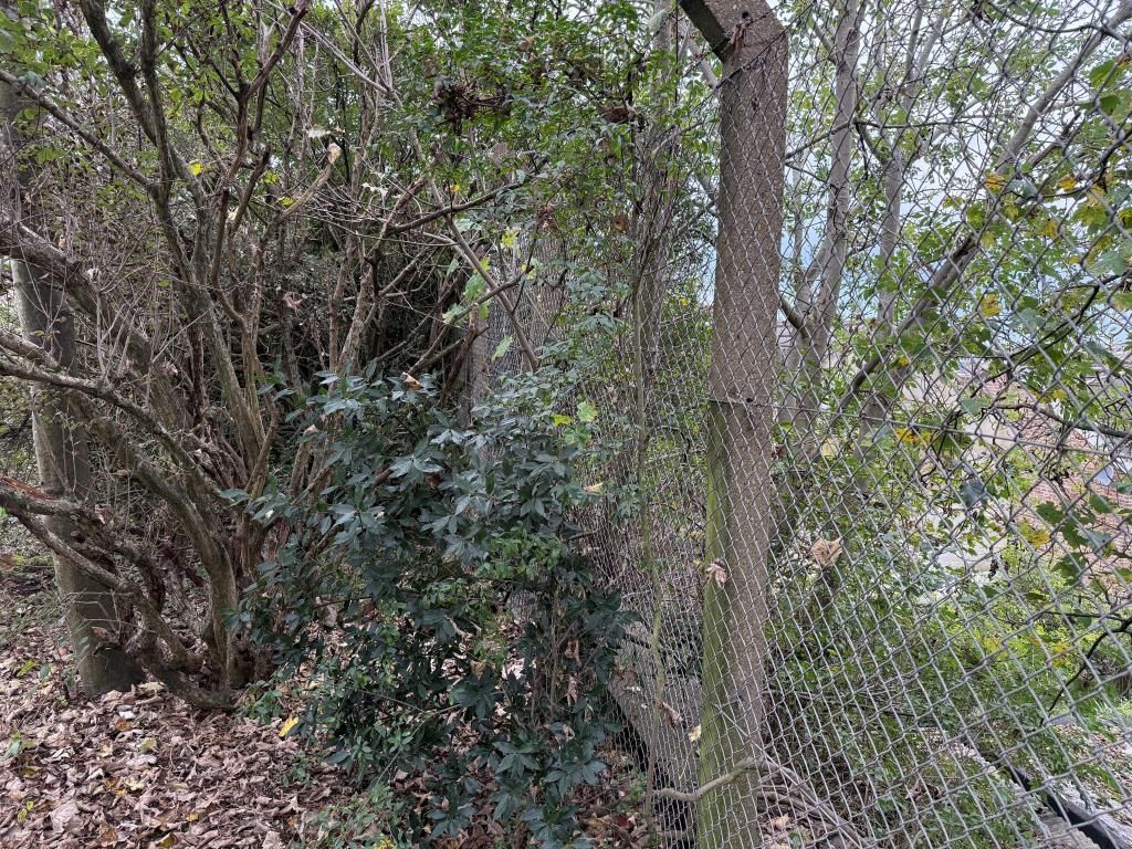 Property photo 3 of 7 Boundary Fence To Rear Of Site