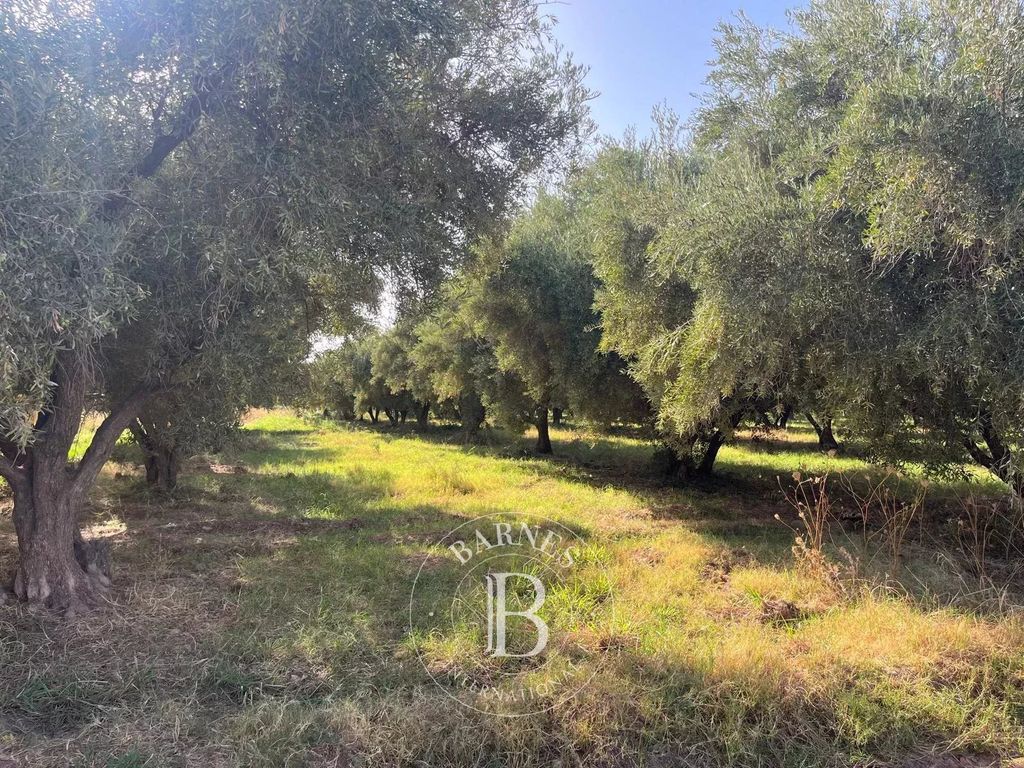 Property photo 1 of 1