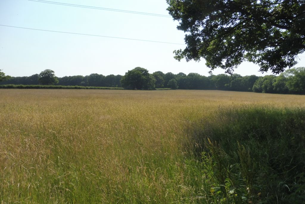 Property photo 2 of 2 19th June 2025