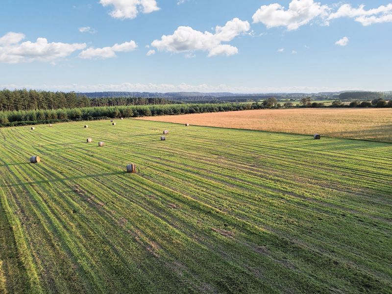 Property photo 3 of 6 Photo 5