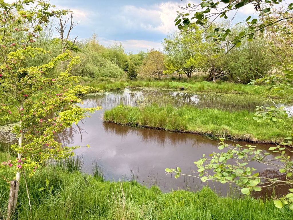 Land for salePlot 3 Bay View Farm, Lufflands, Sutcombe, Holsworthy, Devon EX22 photo 4