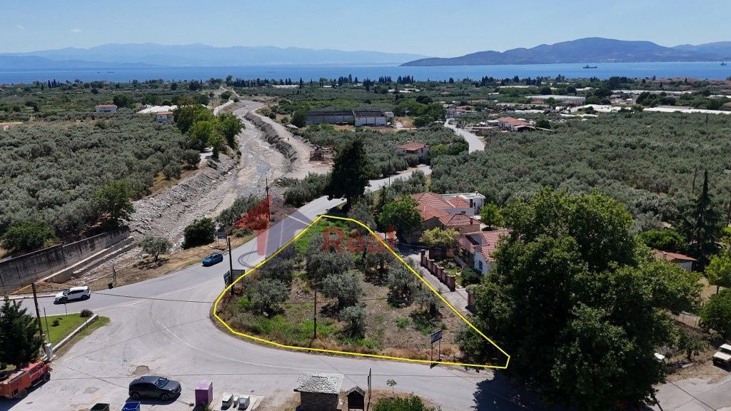 Property photo 3 of 24