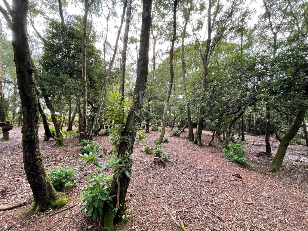Additional image 6 of Land for saleForest Road, Colgate, Horsham RH12