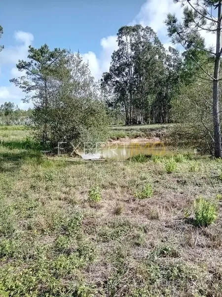 Property photo 3 of 4 Img 2