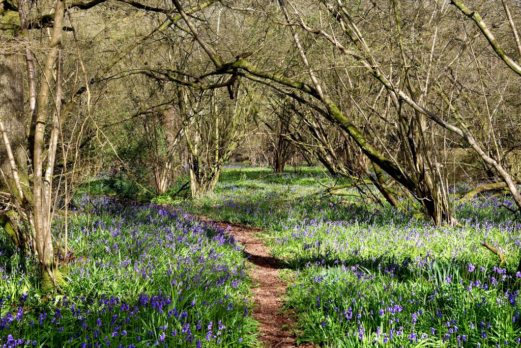 Property photo 2 of 15 Image