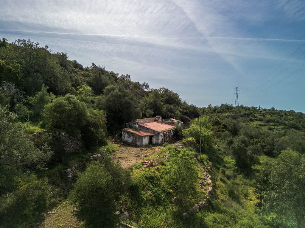 Property photo 1 of 15 Picture No. 01