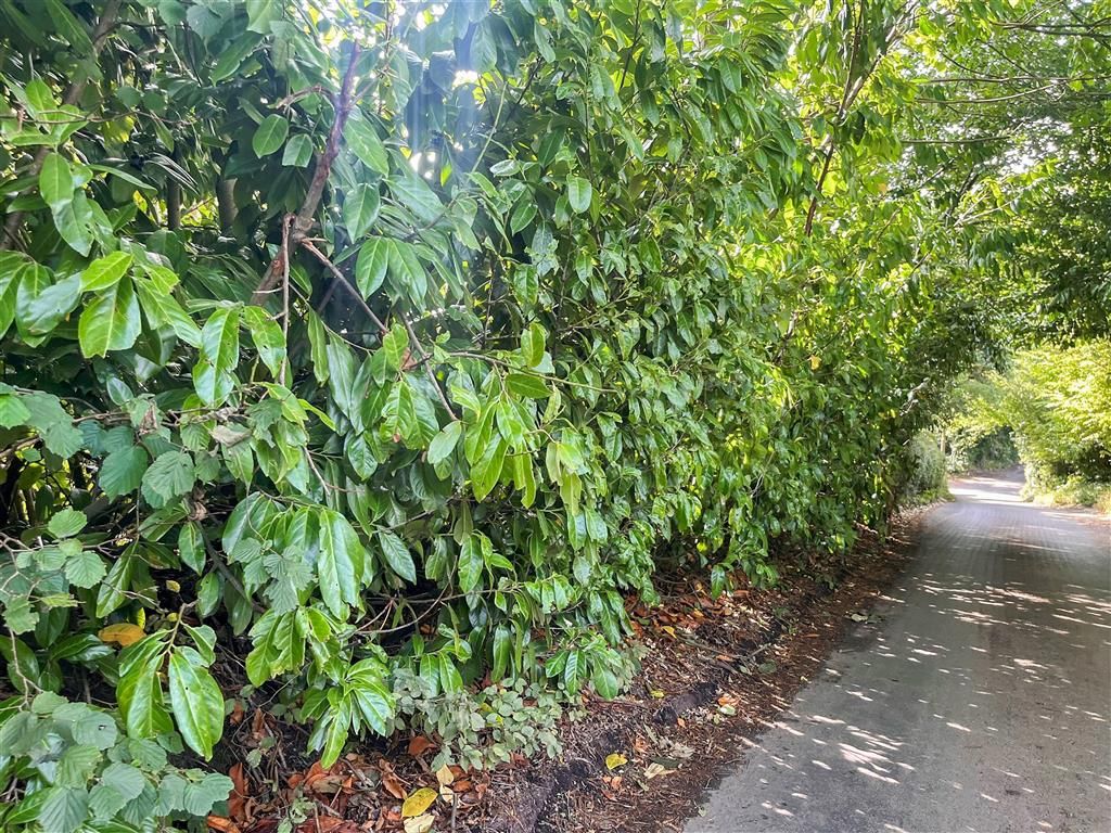 Property photo 1 of 2 Land From Road