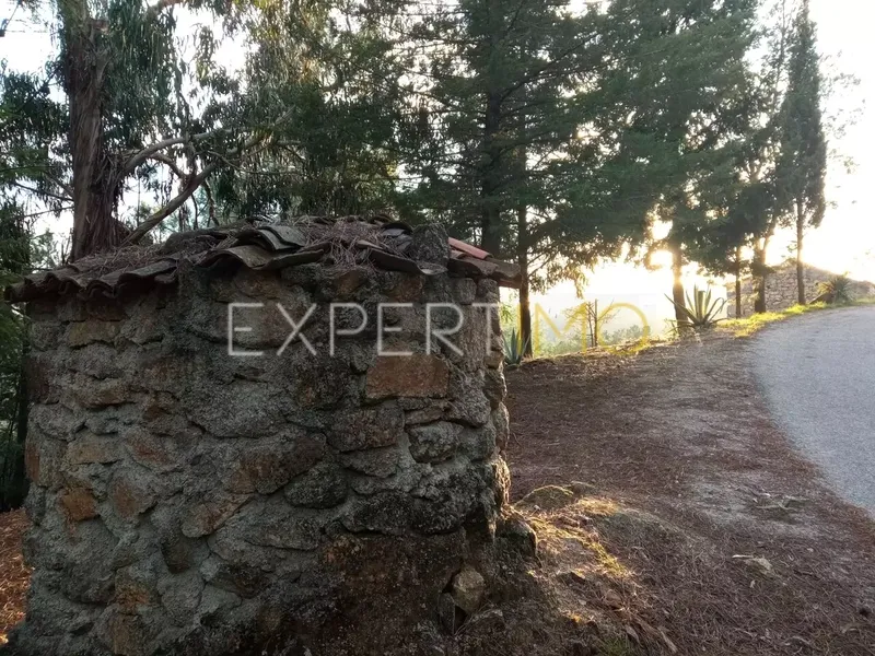 Property photo 3 of 25 Img 2