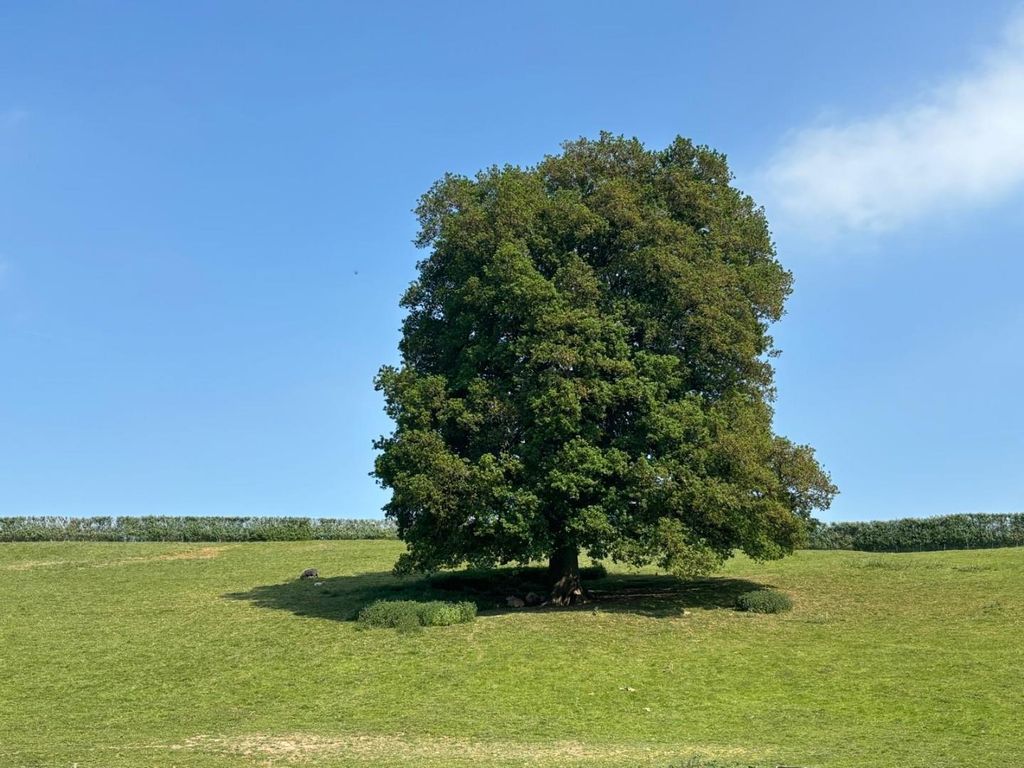 Property photo 2 of 5 Whatsapp Image 2025-06-16 At 15.10.05 (2).Jpeg