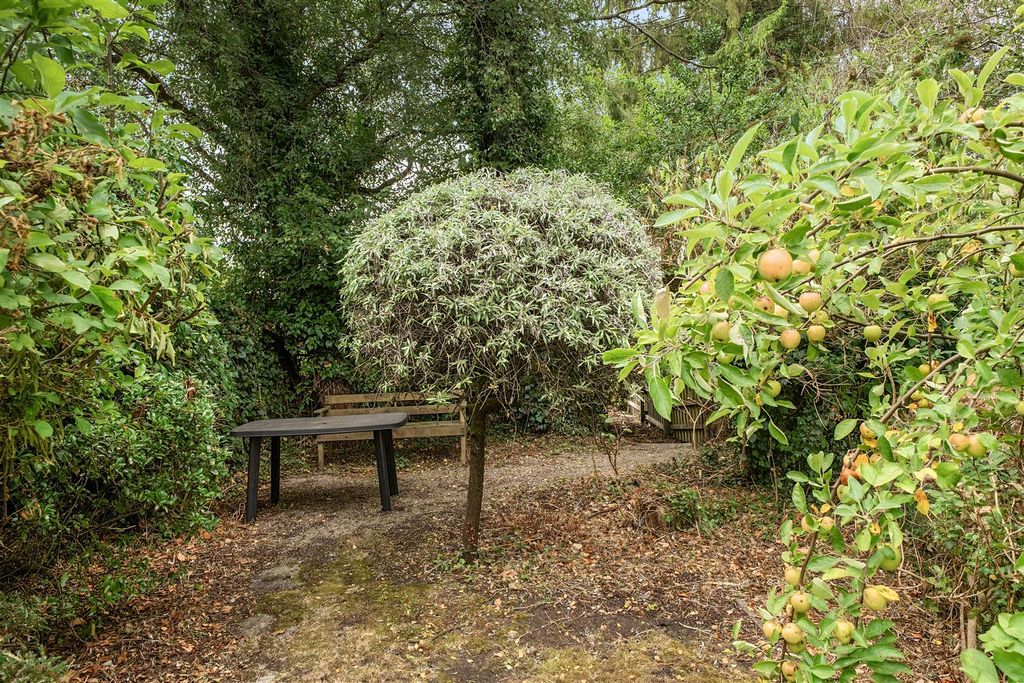 Property photo 3 of 19 Garden