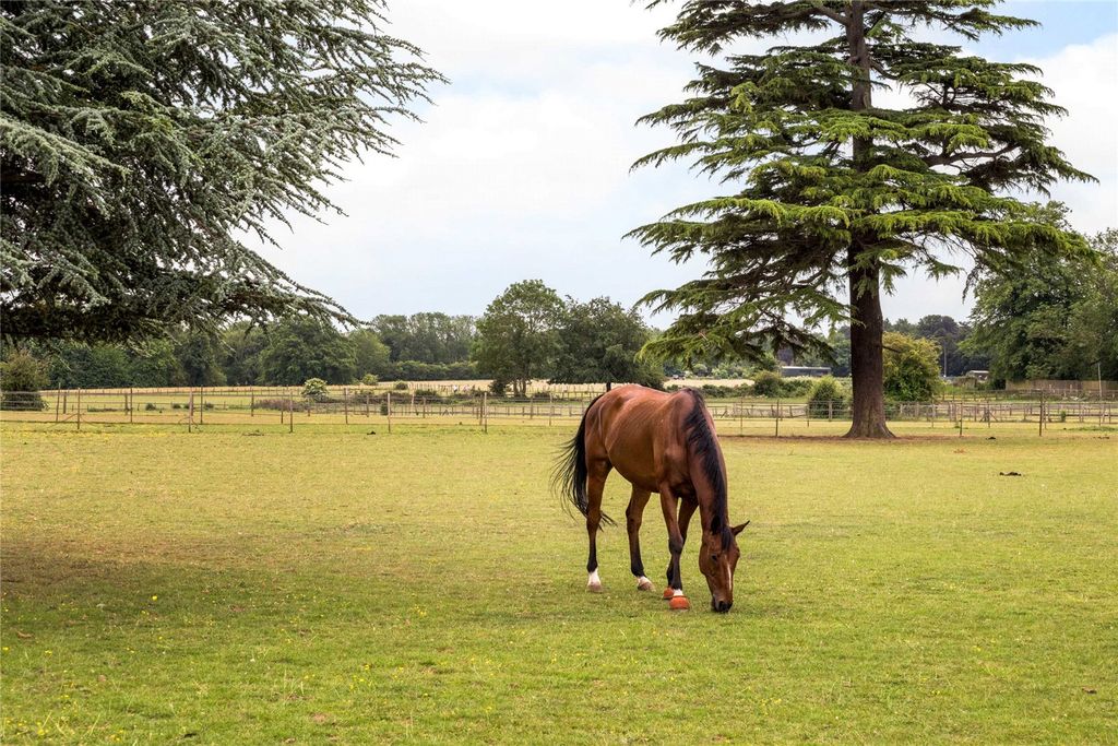 Property photo 3 of 26 The Paddocks