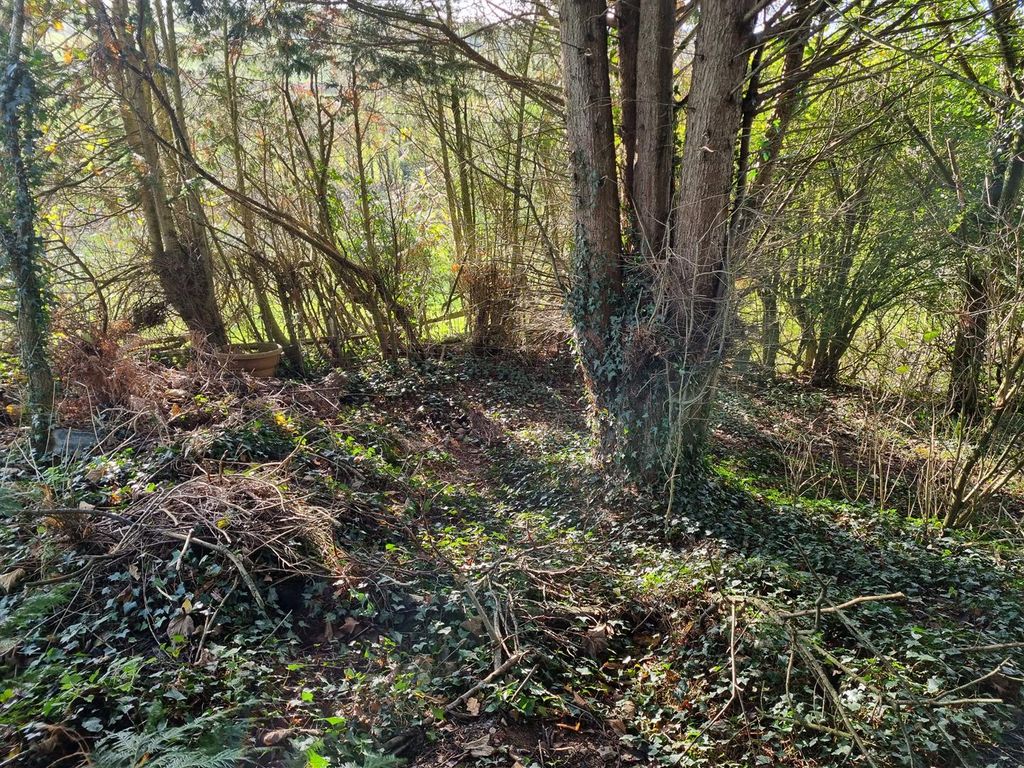 Additional image 9 of Detached bungalow for saleSpry Lane, Lifton PL16