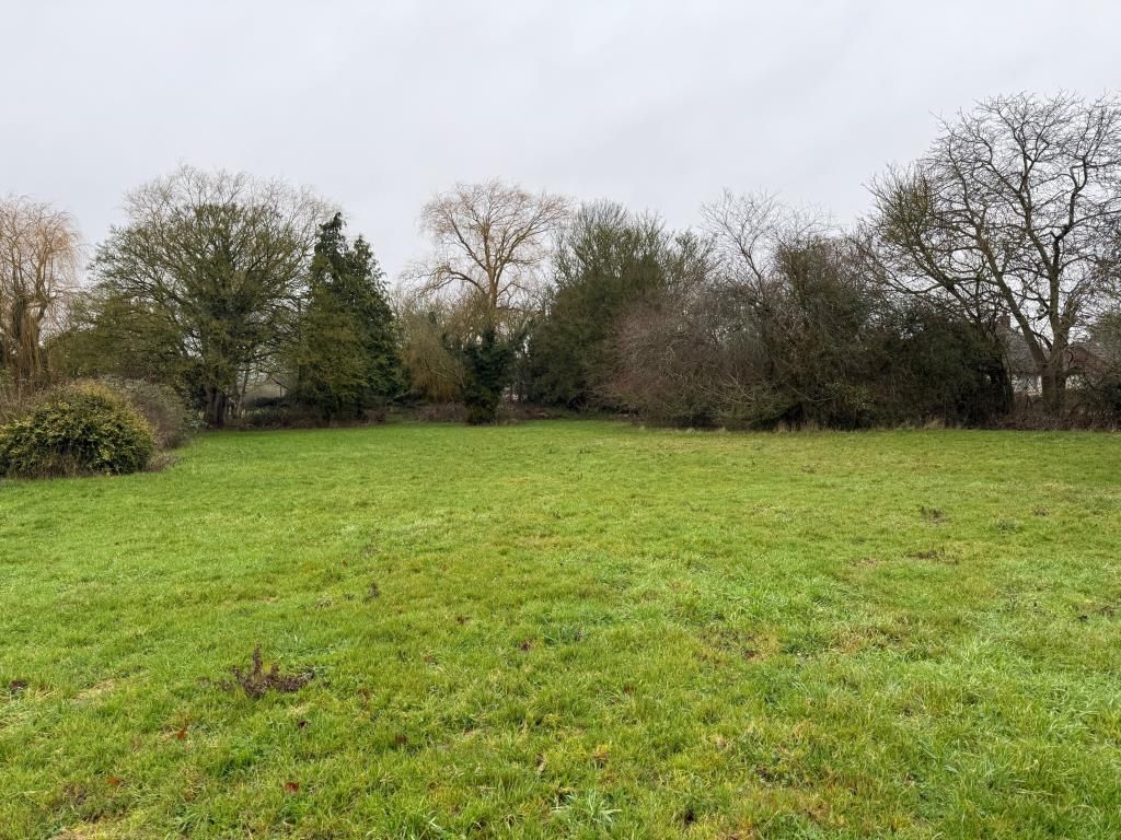 Property photo 2 of 7 View Of Land Looking Back Toward The Road