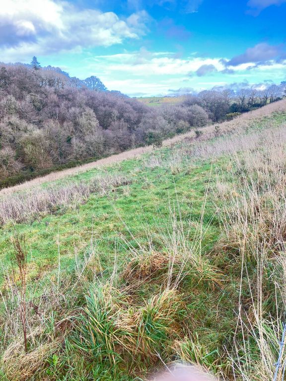 Additional image 4 of Land for saleRoborough, Winkleigh EX19