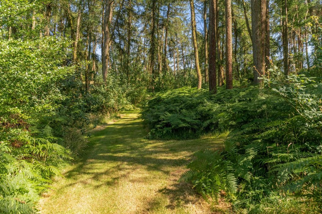 Property photo 3 of 95 3