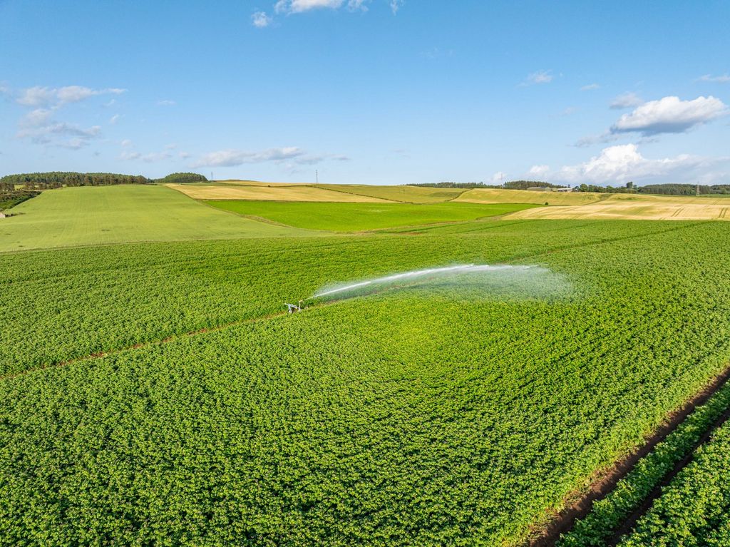 Property photo 3 of 13 Picture No. 12