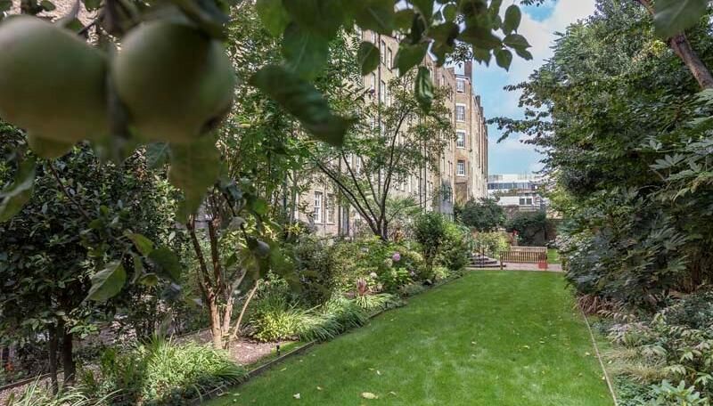 Property photo 2 of 8 Rear Garden
