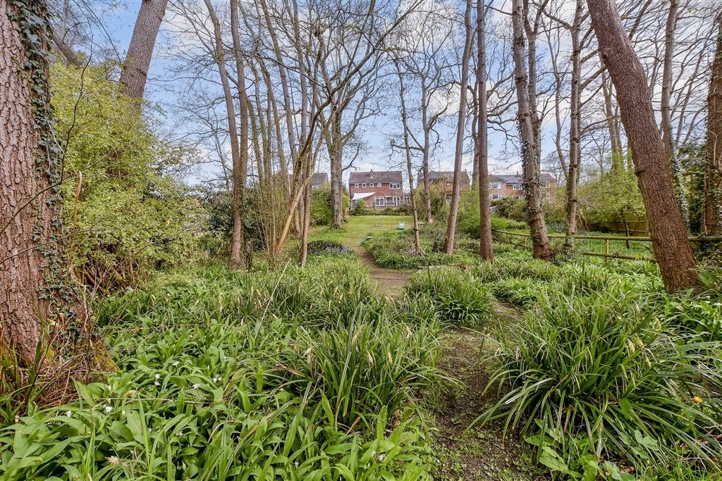 Property photo 1 of 21 Rear Garden