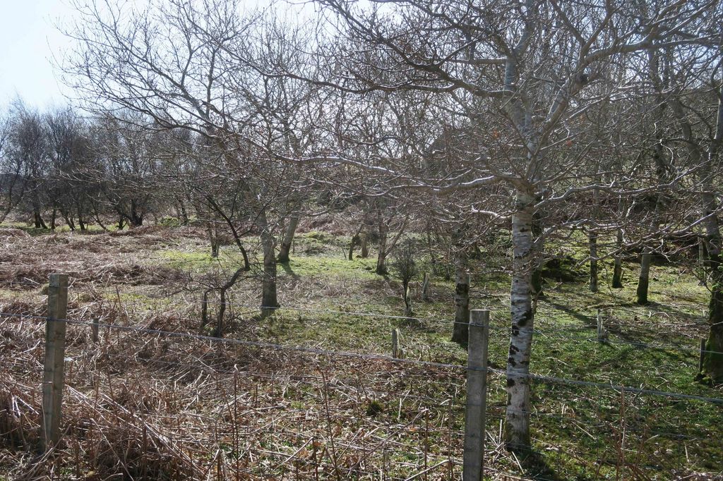 Property photo 3 of 4 Photo 6