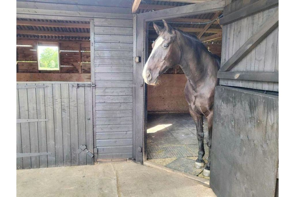 Property photo 2 of 44 Stables