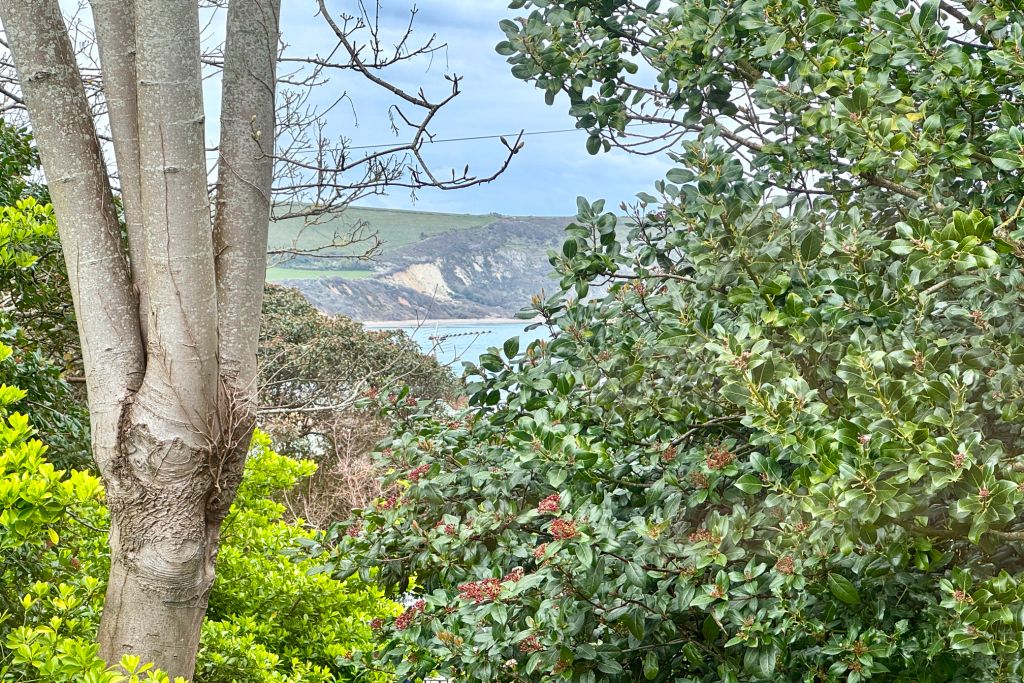 Property photo 2 of 12 View