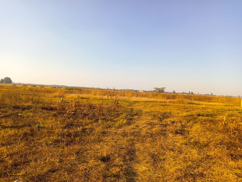 Property photo 2 of 4 Wide, Sunlit Field With Dry Yellow Grass And A Few Trees On The Horizon Under A Clear Blue Sky.