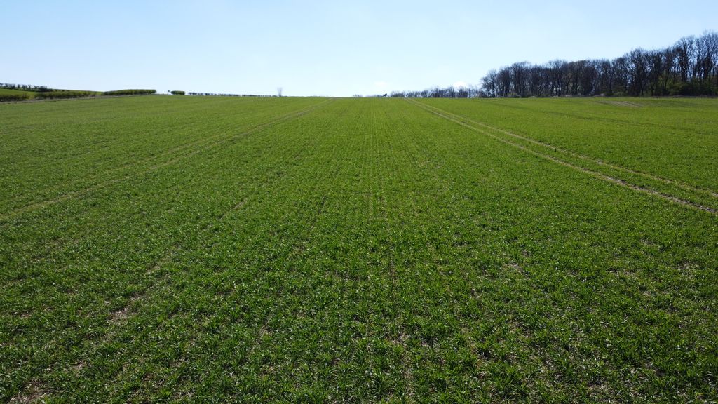 Additional image 5 of Farm for saleHaugham Pastures, Little Cawthorpe, Louth LN11