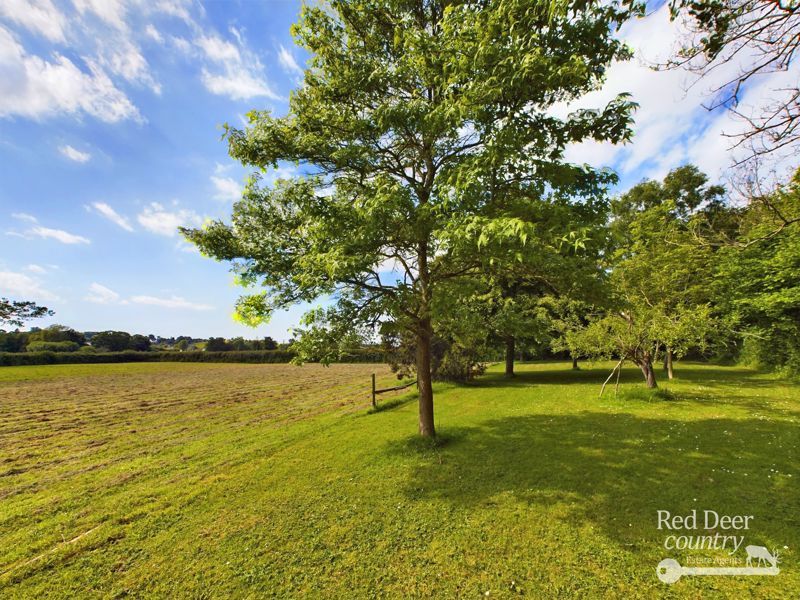 Property photo 2 of 31 Paddock