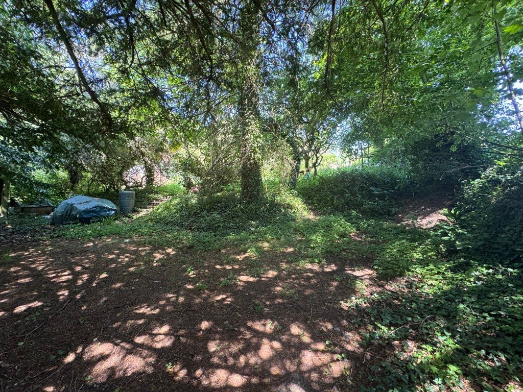 Property photo 3 of 5 View Of The Land