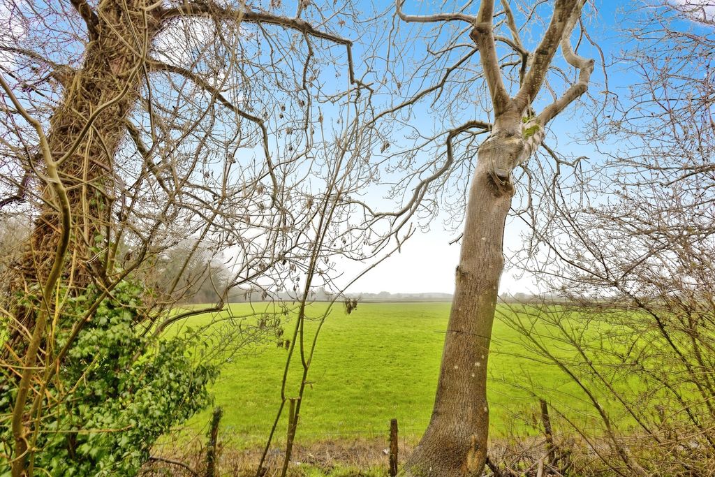 Property photo 3 of 19 Pbox-Img.Jpg