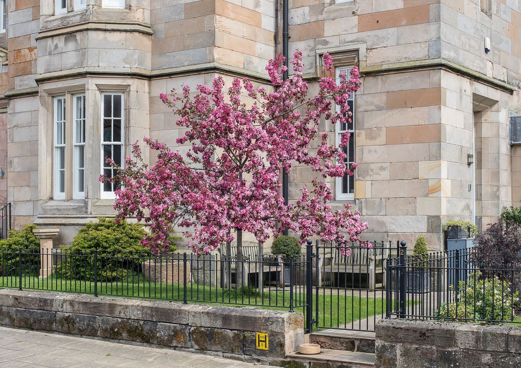Property photo 3 of 46 Cherry Blossom