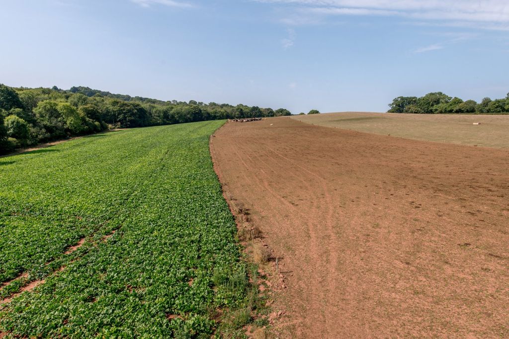 Property photo 3 of 8 Picture No. 03