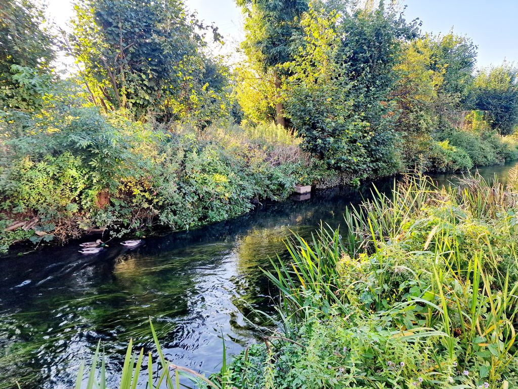 Property photo 3 of 8